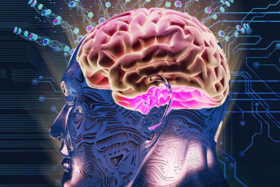 Así Aprende Tu Cerebro: Descubre los Secretos del Aprendizaje Continuo