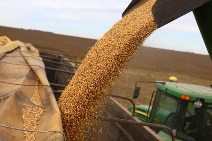 Nueva estrategia para el agro: Retenciones reducidas y más incentivos a las economías regionales