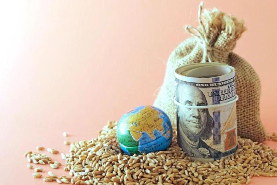 Alza global de alimentos: lo que tenés que saber sobre su efecto en Argentina
