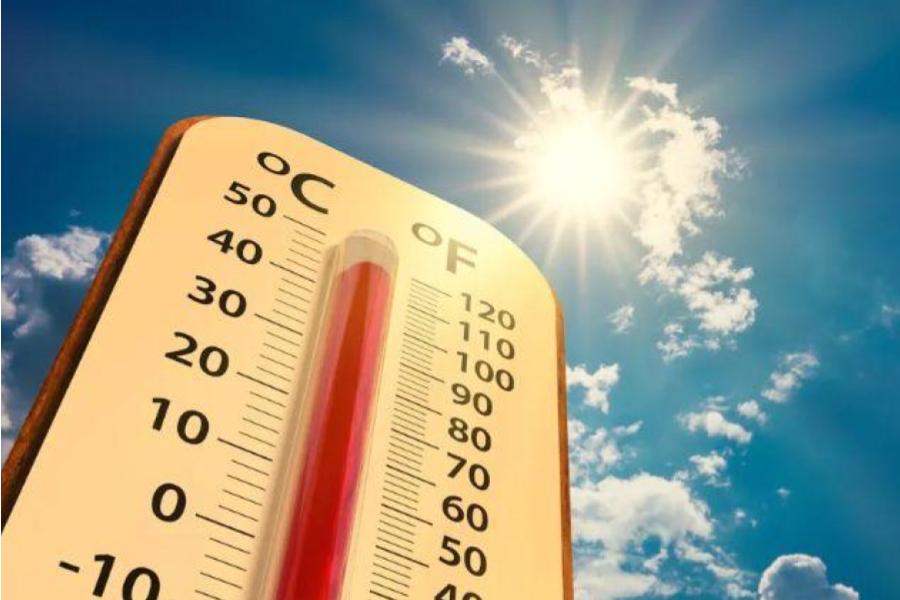 Alerta de calor extremo: el 31 de diciembre romperá récords