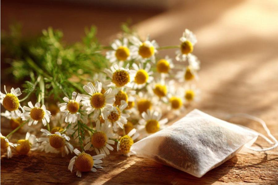 Manzanilla: el remedio natural para la digestión post-fiestas