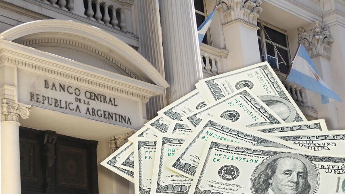 ¿No se va ningún dólar de Argentina? Advierten que el BCRA busca ponerle un piso y frenar la fuga de divisas