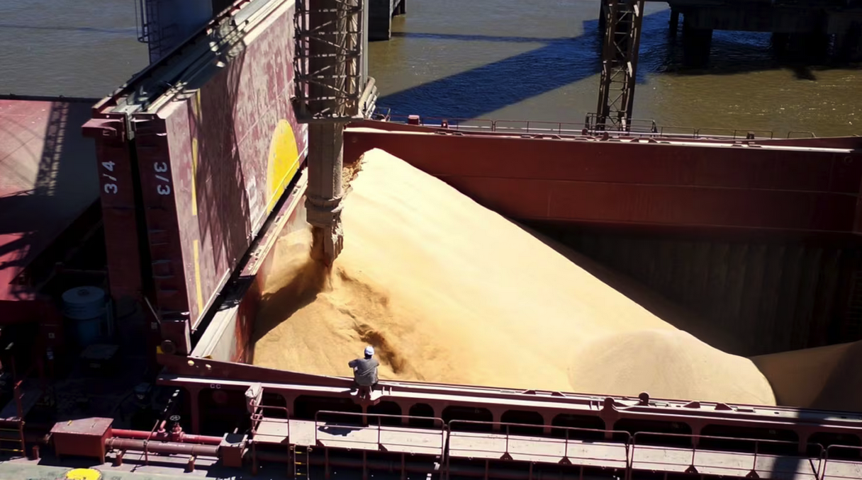 El agro aceleró el ritmo de liquidación de divisas y sumó US$2600 millones en mayo