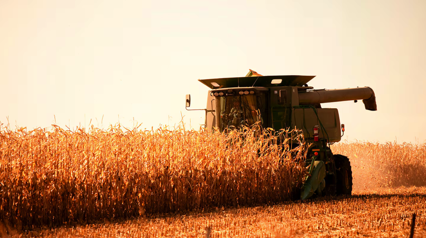 El Gobierno oficializó la baja de las retenciones para el agro: cómo quedan y a qué granos alcanza