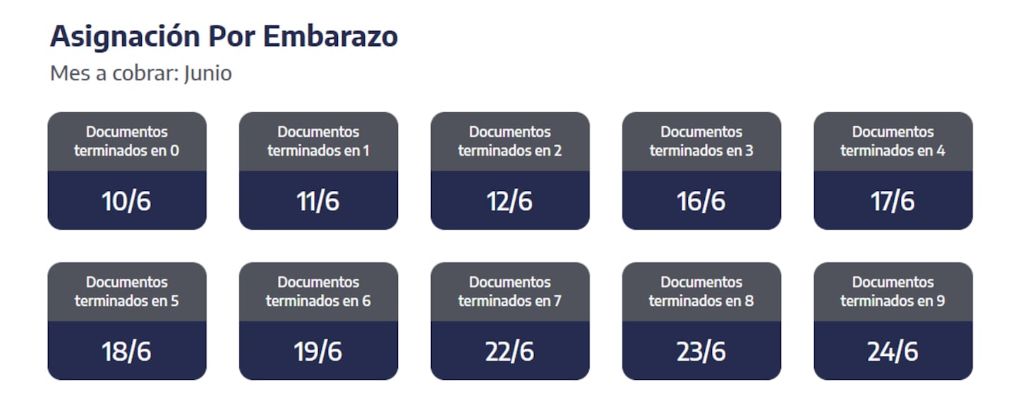 Cuándo se cobra la asignación por embarazo. (Captura: ANSES)