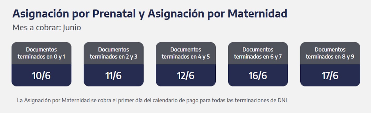 Cuándo se cobra la Asignación por Prenatal y por Maternidad. (Captura: ANSES)