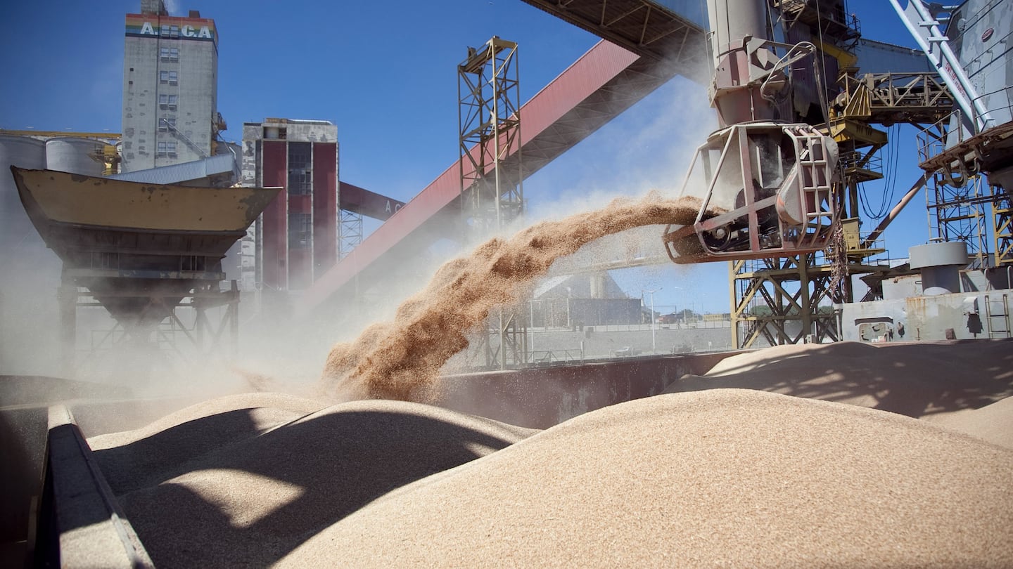 Losada sostuvo que existen oportunidades en distintos sectores vinculados al agro y la agroindustria. (Foto:NA)