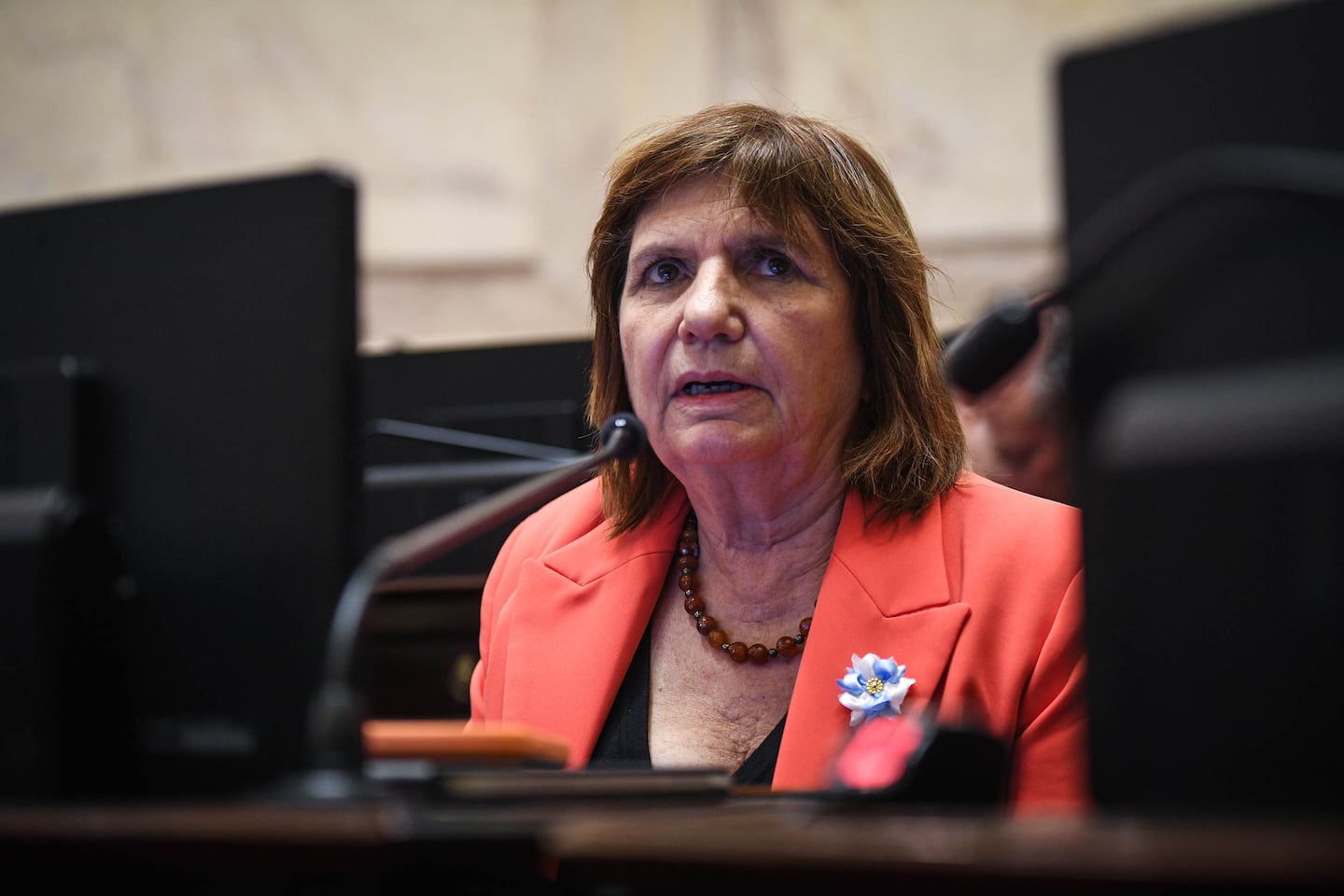 Patricia Bullrich considera que el presidente debe pedirle la renuncia a Adorni en lo inmediato. (Foto: Charly Diaz Azcue / Comunicación Senado)
