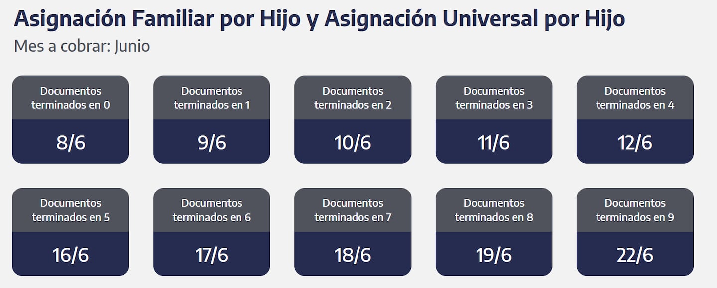 Quiénes cobran la AUH (Captura: ANSES)
