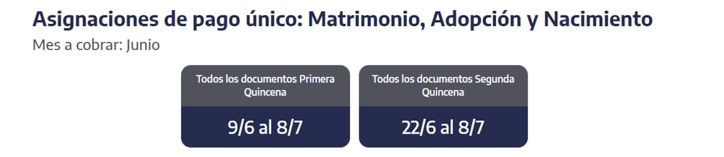 Quiénes reciben hoy las asignaciones de pago único. (Captura: ANSES)