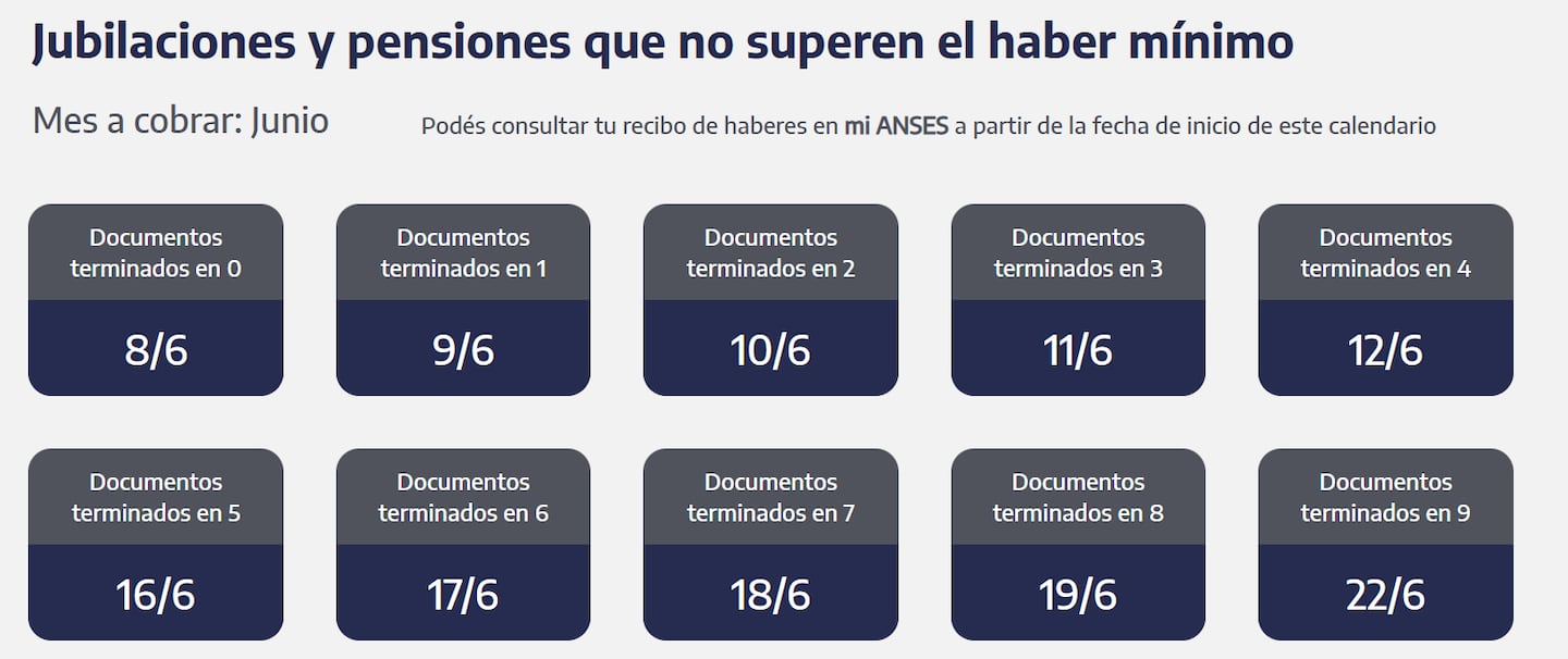 Quiénes reciben hoy las jubilaciones y pensiones (Captura: ANSES)