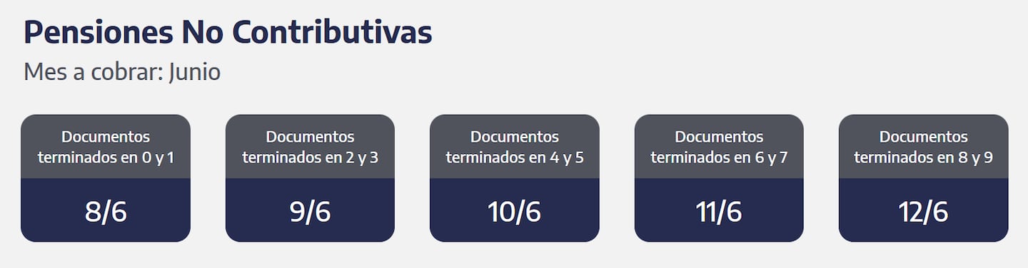 Quiénes reciben hoy las PNC. (Captura: ANSES)