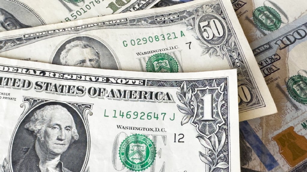 Cotización dólar oficial hoy: los precios en el Banco Nación y a cuánto se vende el dólar blue este viernes 24 de julio