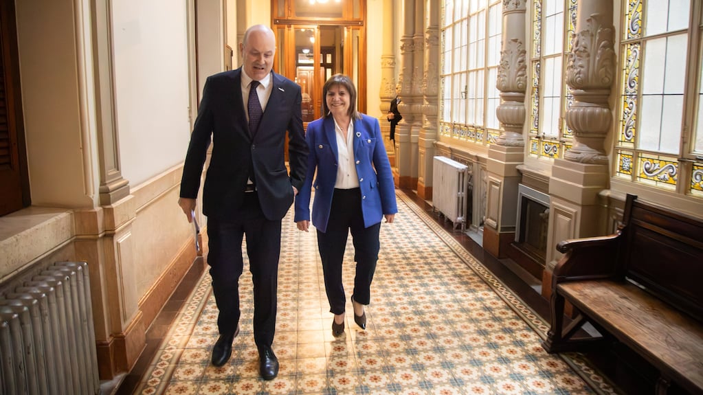 Patricia Bullrich se reunió con Sturzenegger para definir los cambios a la Ley de Propiedad Privada: «Tiene el aporte de todos, creemos que va a salir»
