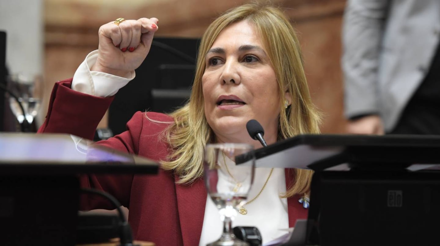 La senadora Beatriz Ávila del bloque Independencia. (Foto: X / @SenadoArgentina).