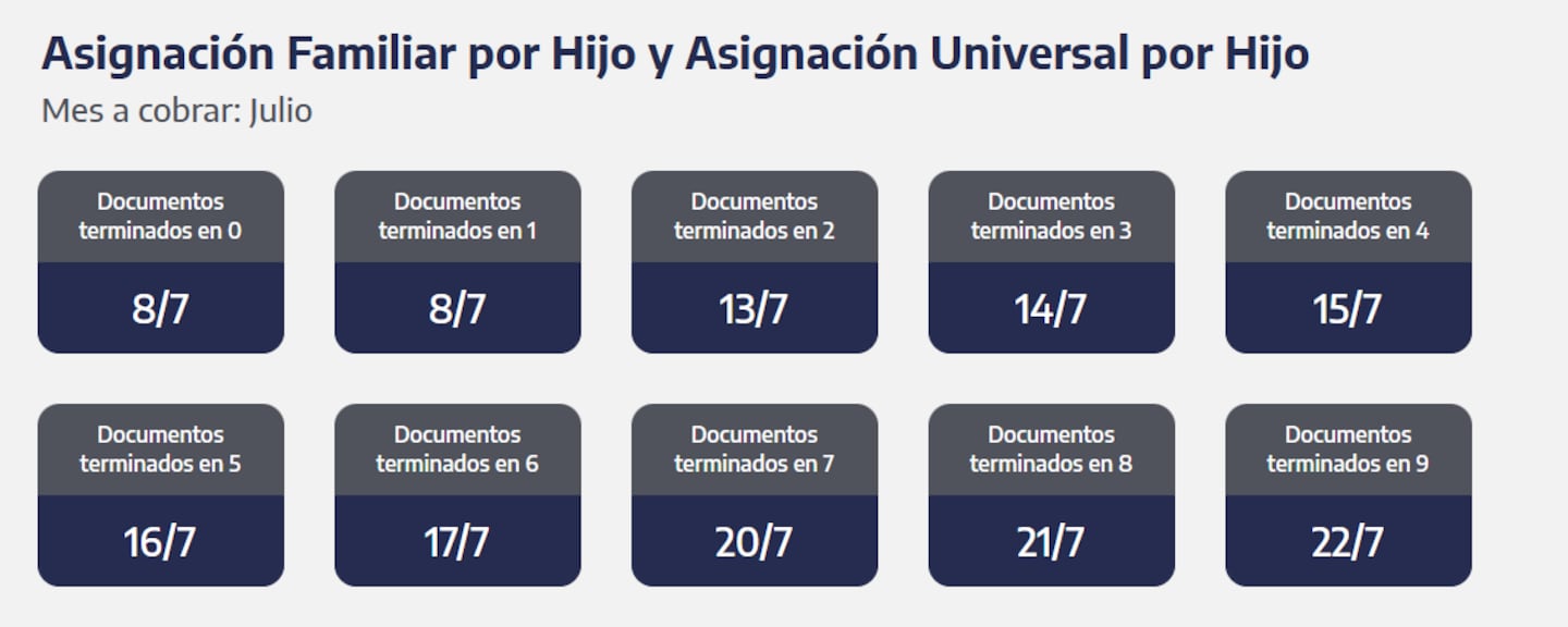 Quiénes cobran la AUH y SUAF (Captura: ANSES)