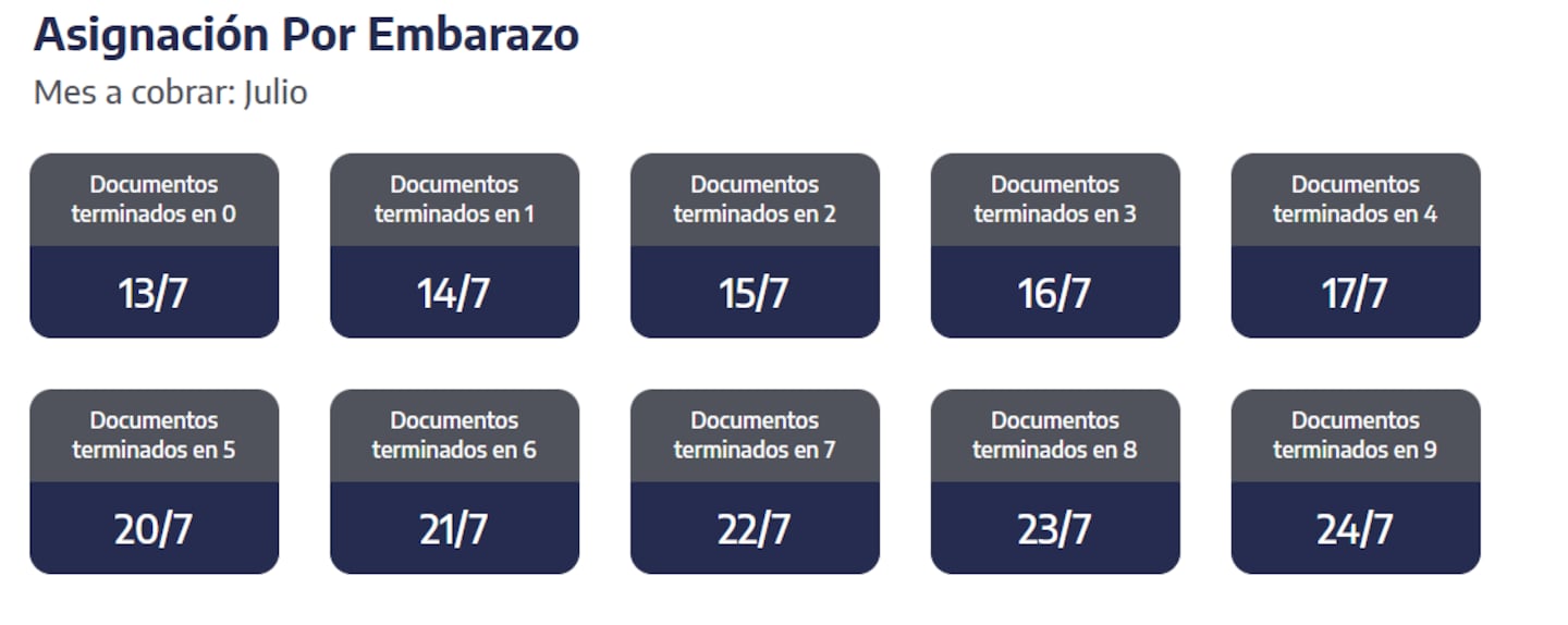 Quiénes reciben hoy la asignación por Embarazo (Foto: ANSES)