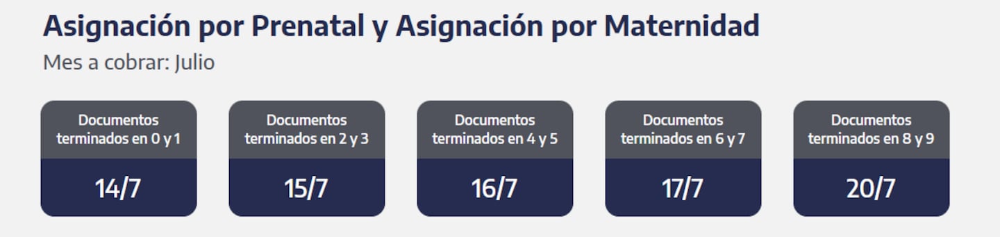 Quiénes reciben hoy la asignación por Prenatal y Maternidad (Foto: ANSES)