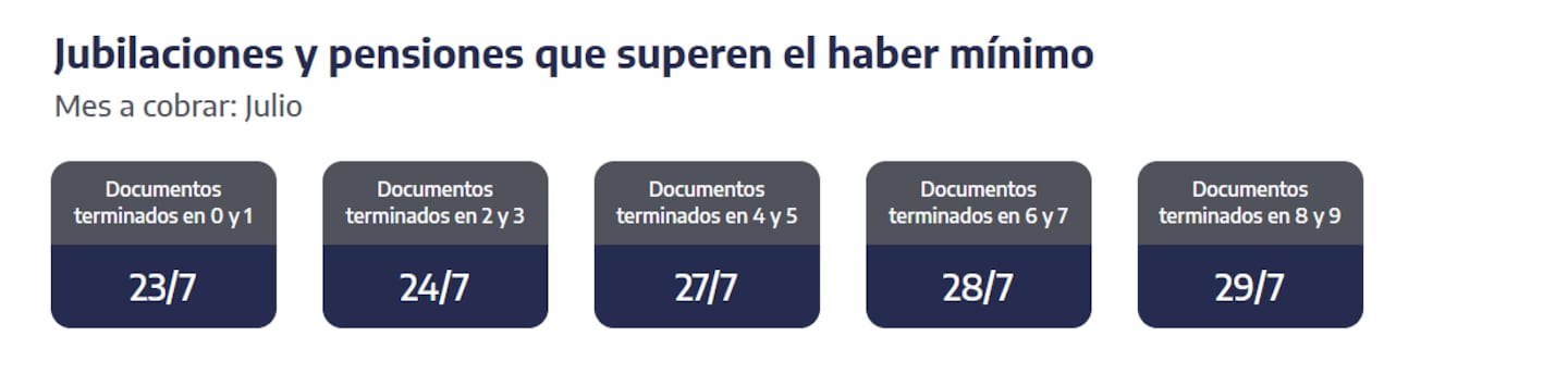 Quiénes reciben hoy las jubilaciones y pensiones (Captura: ANSES)
