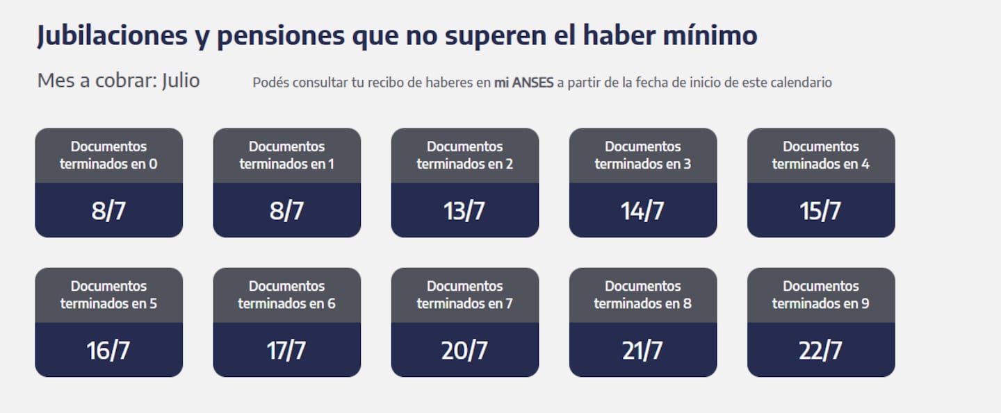 Quiénes reciben hoy las jubilaciones y pensiones (Captura: ANSES)
