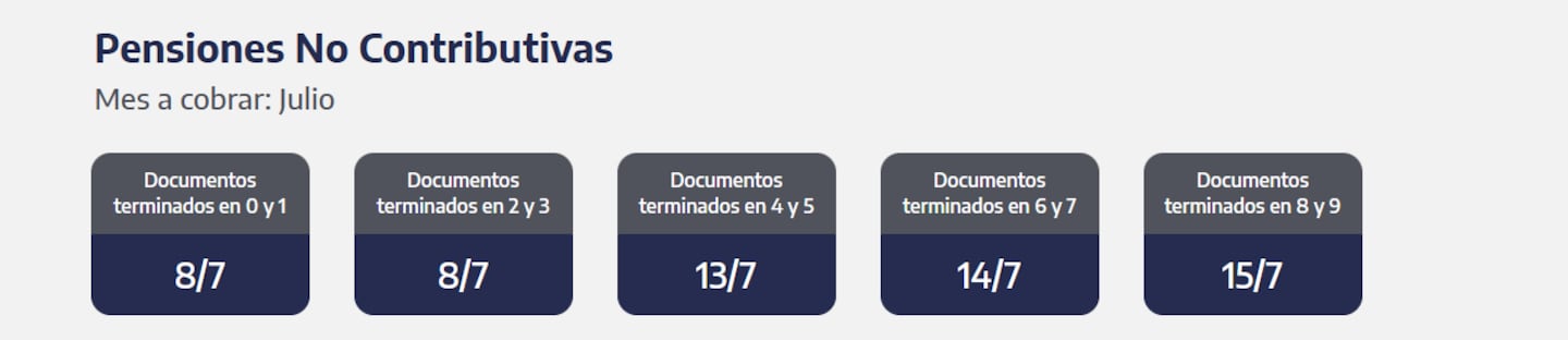 Quiénes reciben hoy las PNC. (Captura: ANSES)
