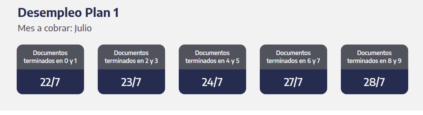 Quiénes reciben la prestación por desempleo (Captura ANSES)