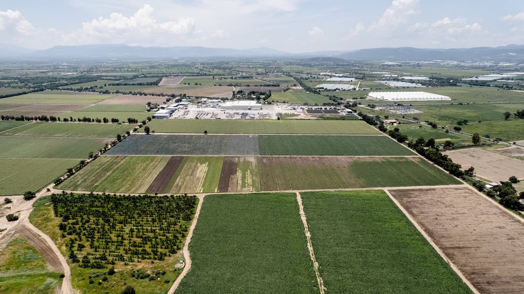 Temporada de ‘Cyclospora’: los alimentos en EE. UU. son seguros, según un funcionario de la FDA,