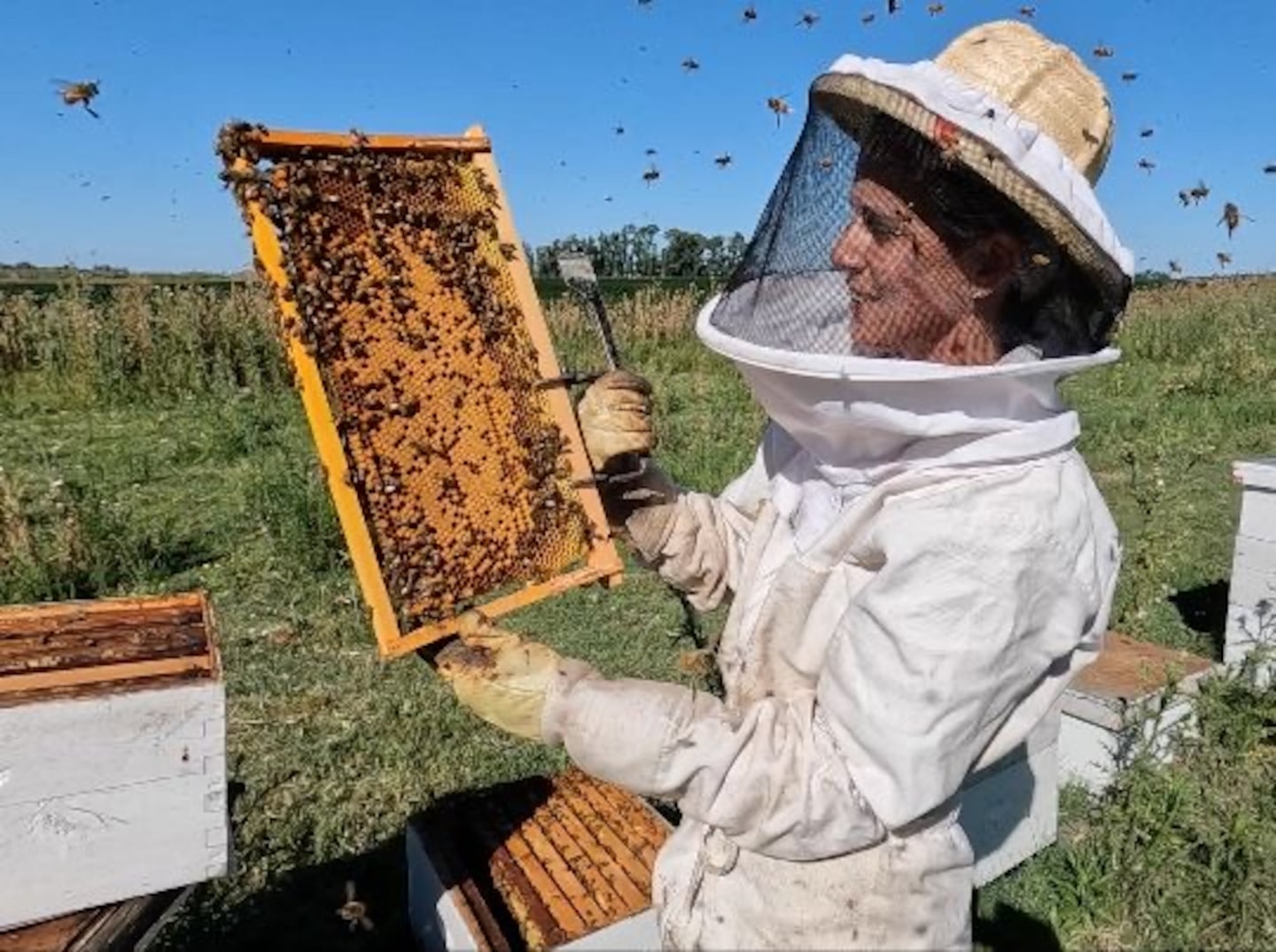 Una de las apicultoras de 25 de Mayo. (Foto: gentileza Fiorella Ilari)