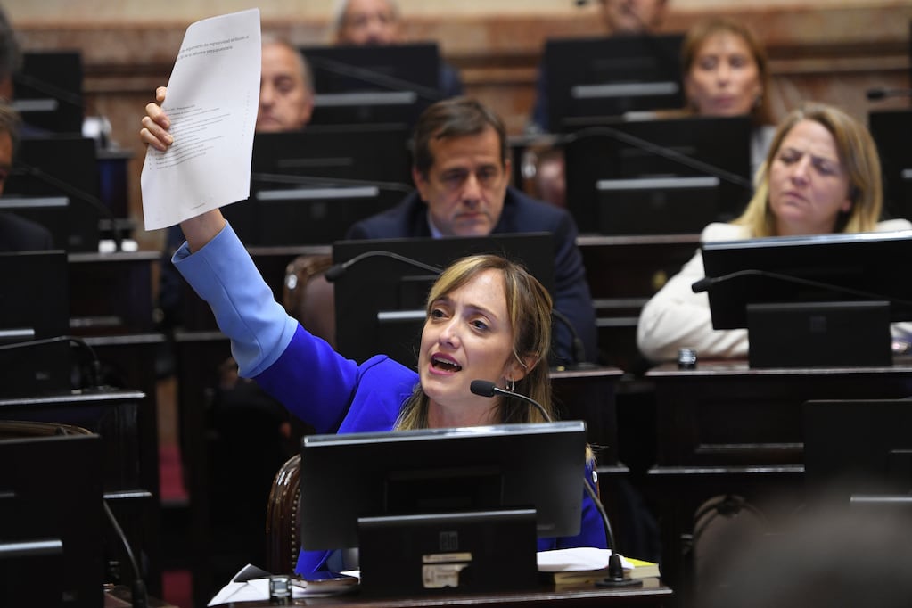 Victoria Villarruel autorizó a que Fernández Sagasti participe de forma virtual del debate por la Ley de Tierras, pero deberá votarlo el Senado