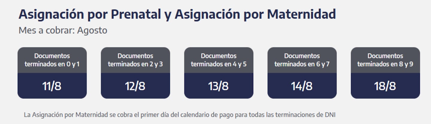 Asignación por Prenatal y Maternidad. (Foto: ANSES)