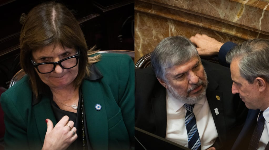 Uno por uno: qué senadores votaron a favor y quiénes en contra de la Ley de Propiedad Privada