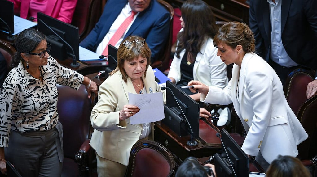 Una senadora aliada cuestionó la estrategia del Gobierno con la Ley de Tierras: “Faltó debate público e información”