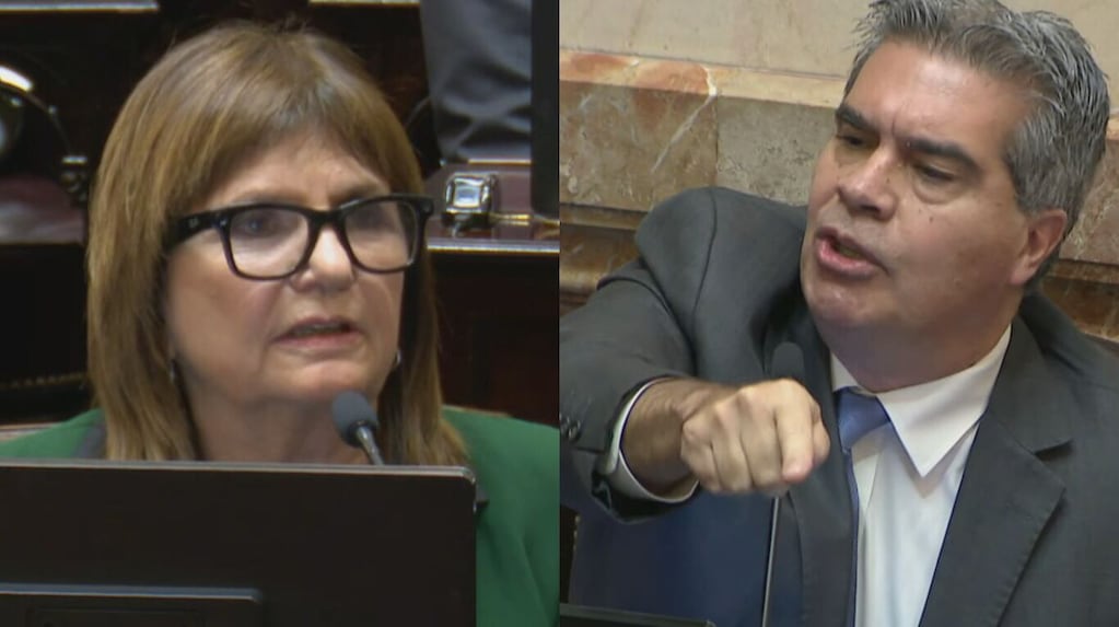 De “callate, si estás procesado” a “pido respeto”: el fuerte cruce entre Bullrich y Capitanich en el Senado
