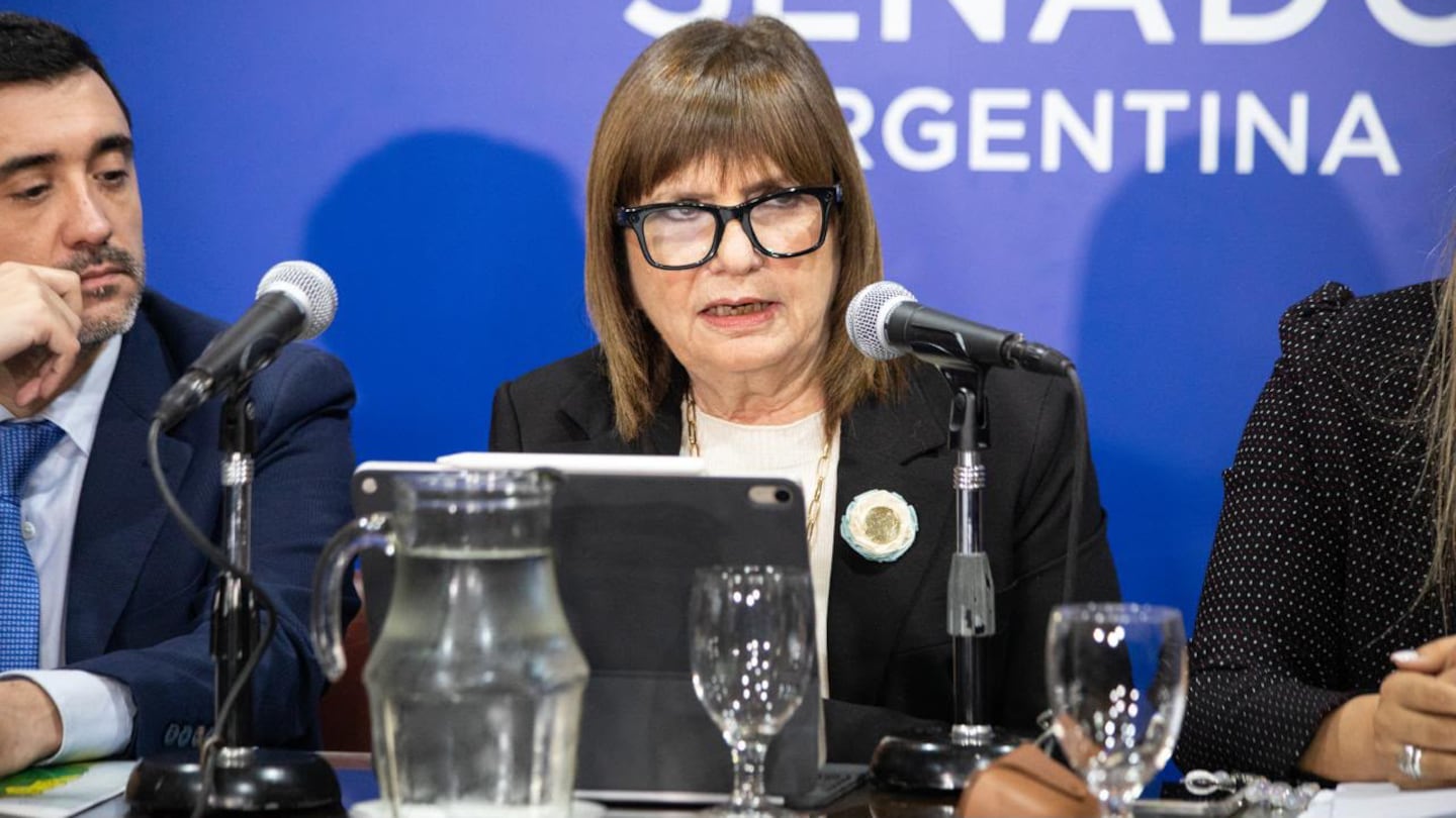 La jefa de bloque de LLA en el Senado, Patricia Bullrich, busca avanzar con pliegos judiciales en agosto (Foto: prensa LLA).