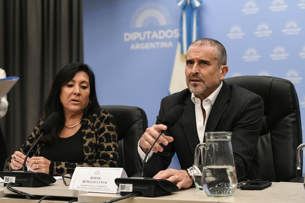 Diputados: el oficialismo buscará debatir las reformas del Banco Central y la Ley de Inocencia Fiscal antes de fin de mes