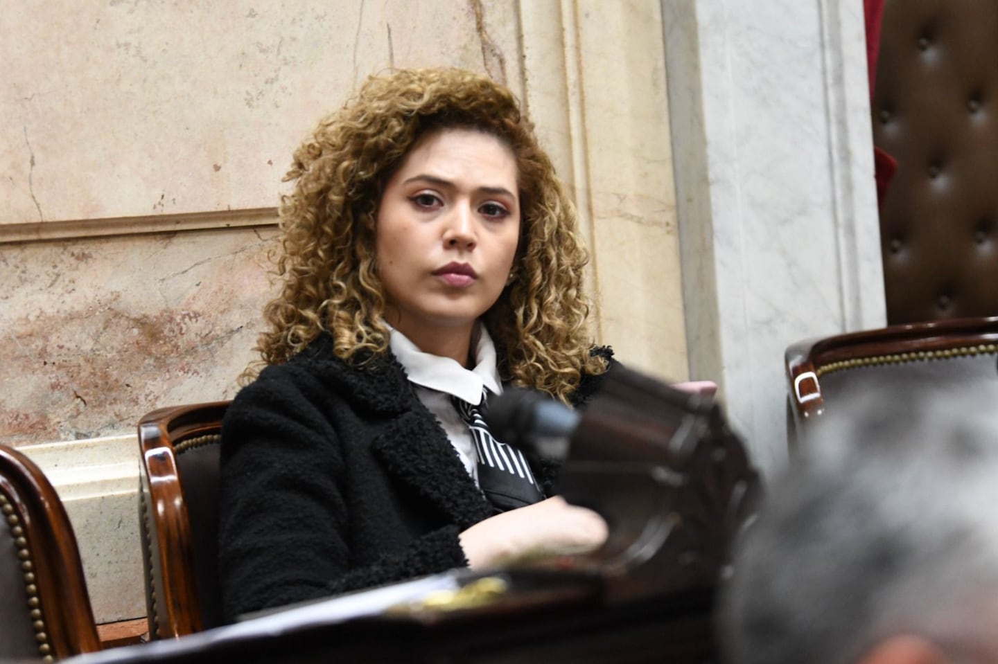 Lourdes Arrieta, diputada nacional de Provincias Unidas. (Foto: Cámara de Diputados)