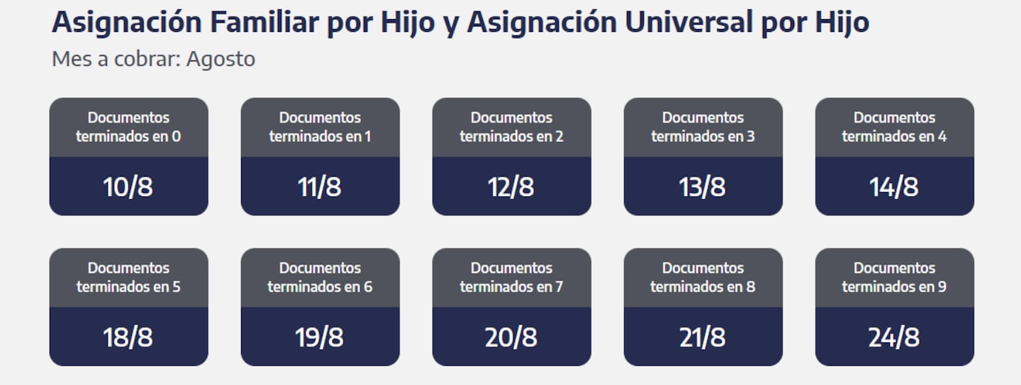Quiénes cobran la AUH y SUAF (Captura: ANSES)
