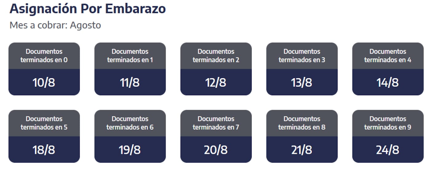 Quiénes reciben hoy la asignación por Embarazo (Foto: ANSES)