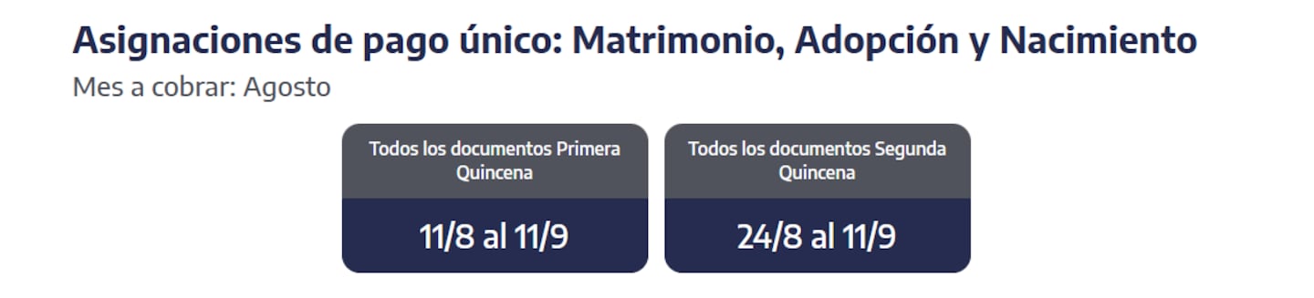 Quiénes reciben hoy las asignaciones de pago único (Foto: ANSES)