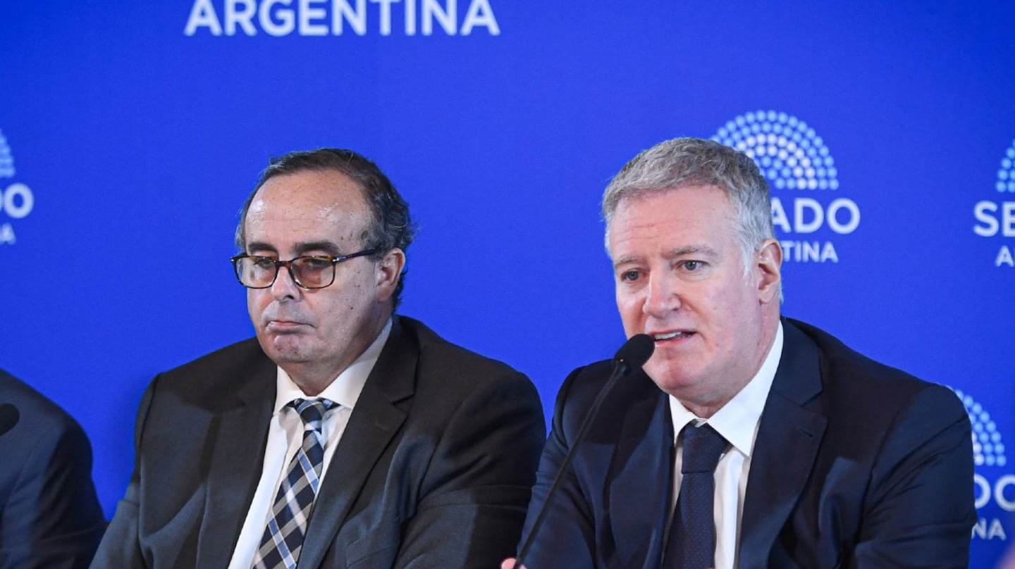 Uno de los puntos centrales de la sesión estará en los pliegos de Pablo Bertuzzi y Pablo Yadarola, candidatos a integrar la Cámara Federal porteña. (Foto Prensa Senado)