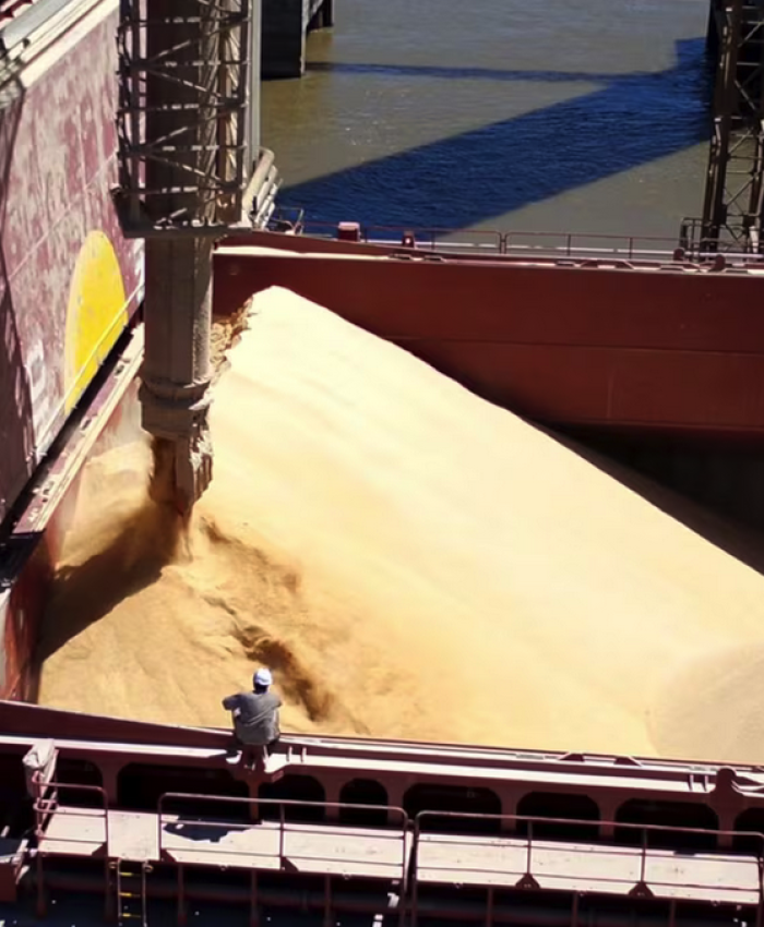 El agro aceleró el ritmo de liquidación de divisas y sumó US$2600 millones en mayo