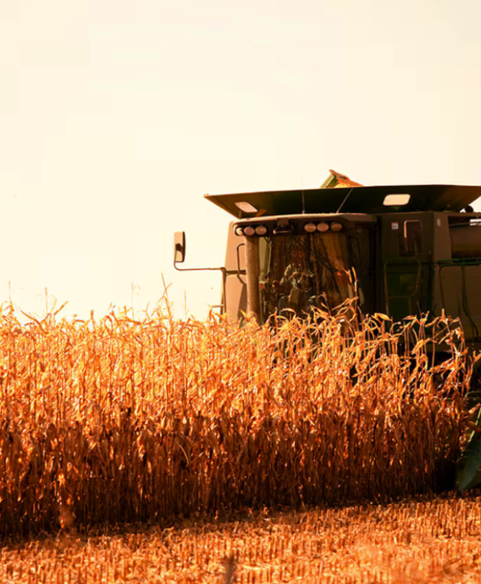 El Gobierno oficializó la baja de las retenciones para el agro: cómo quedan y a qué granos alcanza