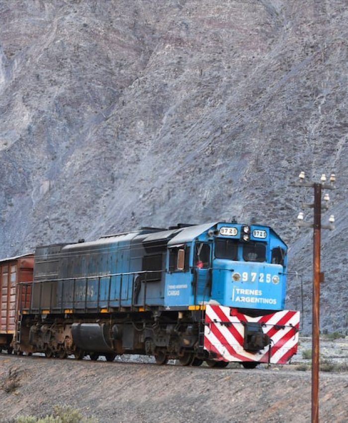 Privatización del Belgrano Cargas: el Gobierno abrió la licitación y fijó obras por al menos US$800 millones