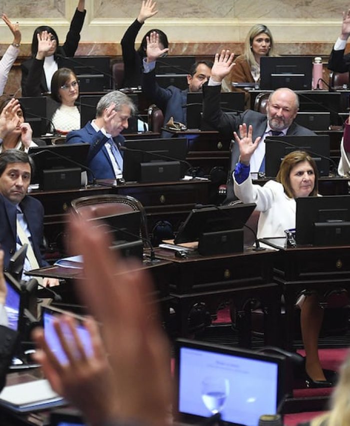Patricia Bullrich destrabó las negociaciones con aliados y el debate sobre la reforma política volverá al Senado en septiembre