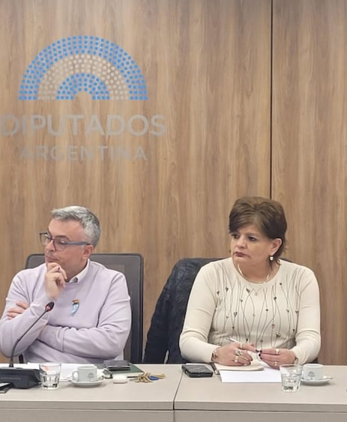 La oposición busca abrir el debate en Diputados por el endeudamiento de las familias y ya hay 35 proyectos