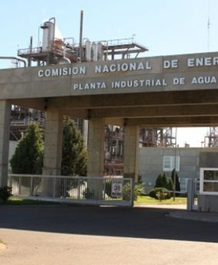 Ni petróleo ni litio: el insumo nuclear que Argentina busca exportar al mundo