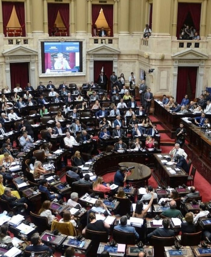 Diputados: el Gobierno buscará darle media sanción a la reforma del Banco Central y a la ley de Inocencia Fiscal