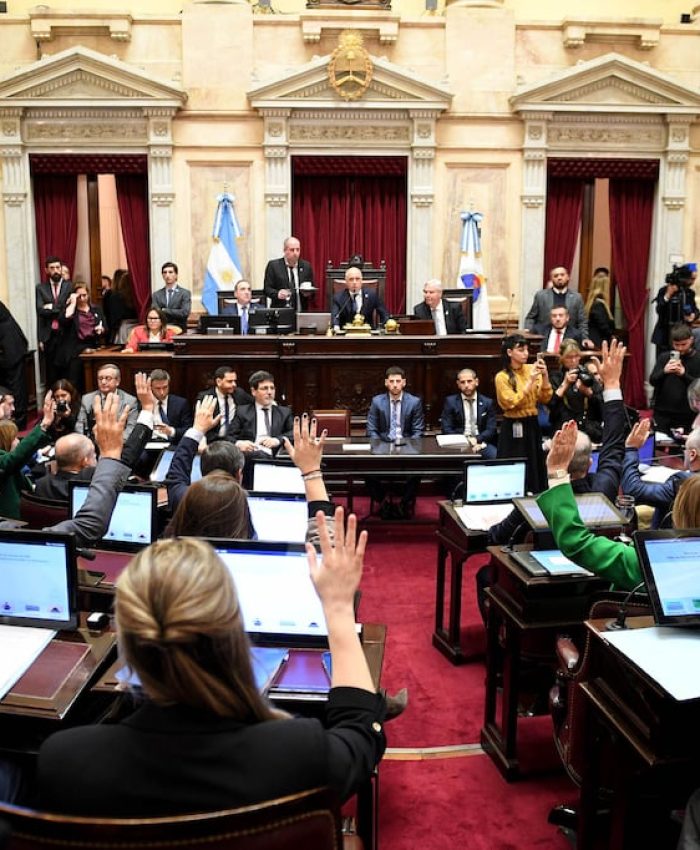 Del retiro de dos capítulos a la presión de los aliados: así el Gobierno consiguió la ajustada media sanción de la Ley de Propiedad Privada