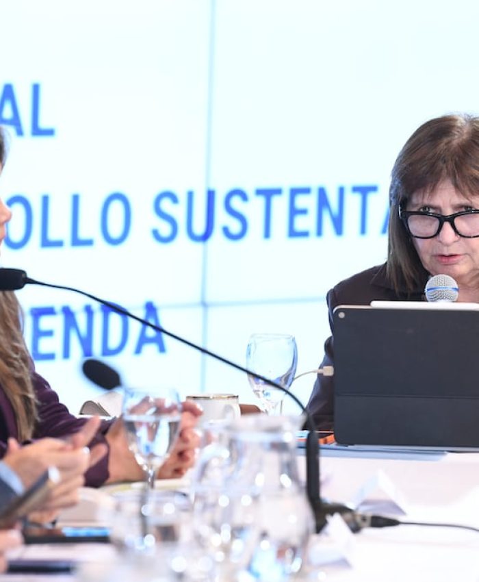Bullrich impulsa una reforma de la Ley Nacional de Salud Mental y negocia apoyos en el Senado: cuáles son los principales cambios